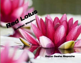 Red Lotus Buddhist Wisdom_book